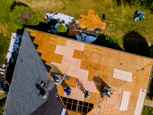 Trusted Carlin, NV Roofing Contractor Experts